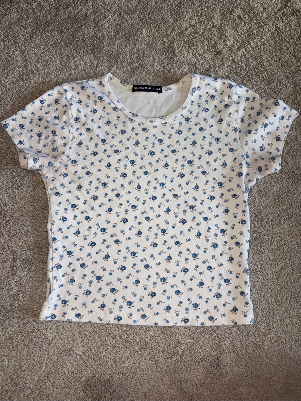 Brandy Melville Cream Tee with Blue Floral Pattern